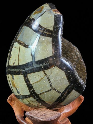 Septarian Dragon Egg Geode - Black Crystals #71990
